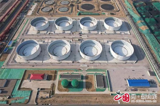 “五個最”!青島港董家口港區(qū)港口項目實現(xiàn)“全面開花”