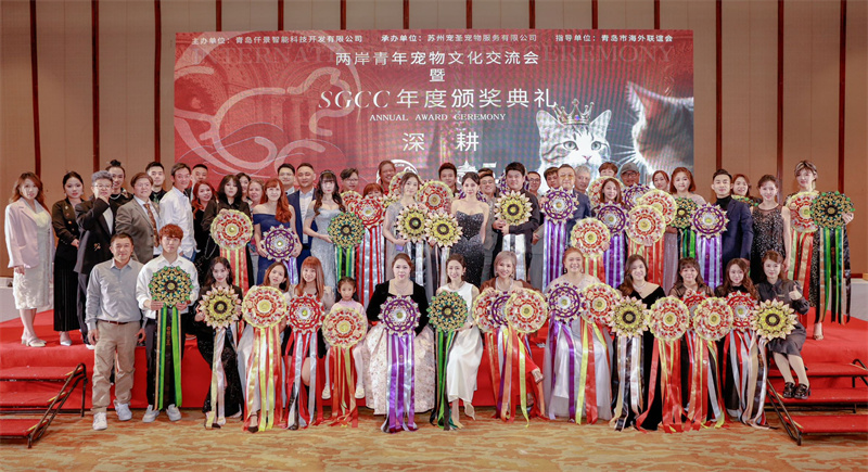 兩岸青年“共寵”新景 青島這場盛會以 “深耕”智能繪就行業(yè)新篇